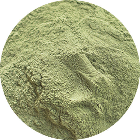 Chlorella powder